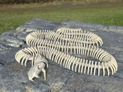Giant Snake Skeleton  Low-poly 3D model