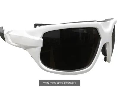 Sleek Sports Sunglasses Kit 3D Model Pack