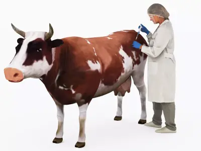 Veterinarian 4K 3D model