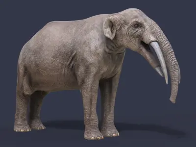 Gomphotherium steinheimense 3D model