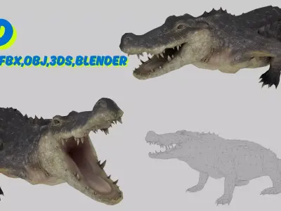 Realistic Crocodile 3D Model Game Ready Textures FBX C4D Blender Low-poly 3D model