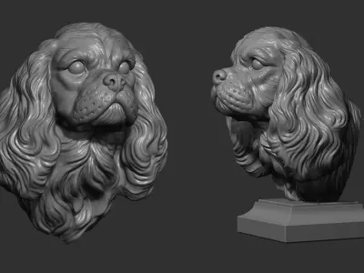 Spaniel Cavalier King Charles bust 3D print model