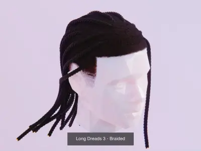Long Hair Bundle 3D Model Collection