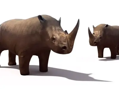 Rhino rhinoceros Low-poly 3D model