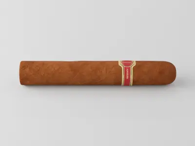 Cigar Dunhill Cabinetta 3D model
