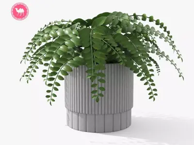 Plant Boho - Fern Low-poly 3D model