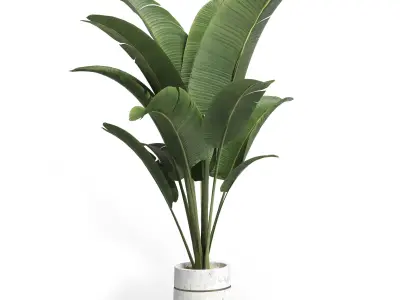 collection Indoor plant 37 -concrete vase Low-poly 3D model