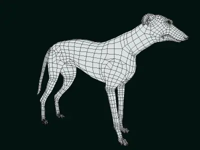 GreyHound Dog Breed Low-poly 3D model