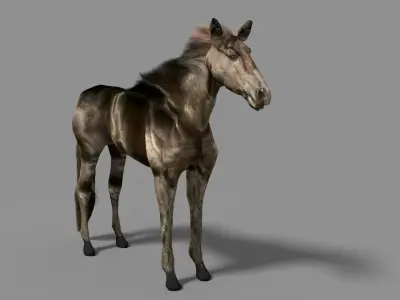 Black Stallion Low-poly 3D model