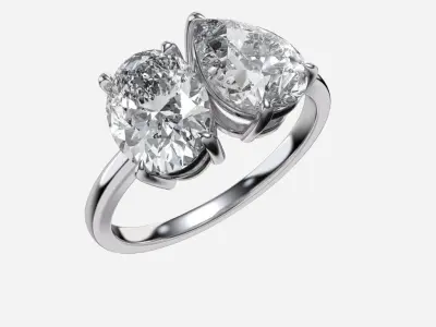 Two Stone diamond Ring 3D print model