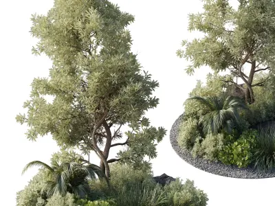 Collection outdoor indoor pot plant  tree  bush the garden pot  3D model