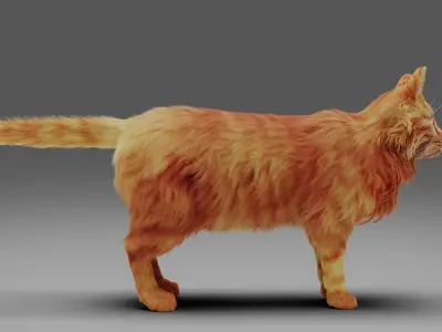 Fur Cat Yellow V3 NO Rigged  Low-poly 3D model