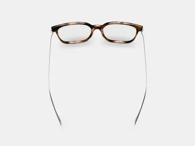 Caleb Eyeglasses in Woodgrain Tortoise with Polished Silver 3D model