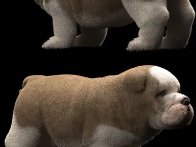 DOG puppy 3D model