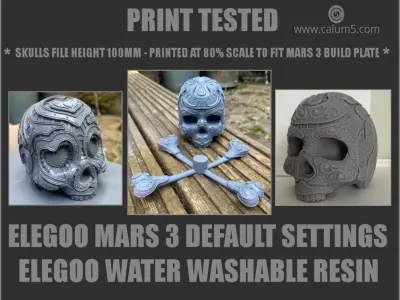 3 Detailed Skulls Set 3D print model