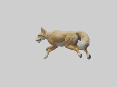 Coyote running model 3D model