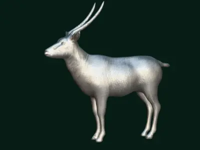 Elliptical Waterbuck Antelope Low-poly 3D model