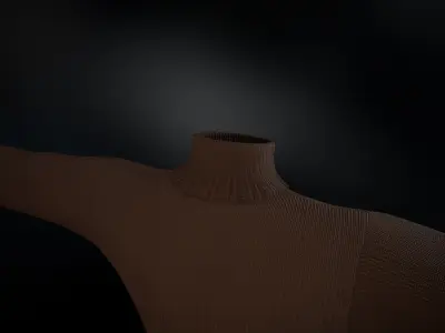Brown Winter Turtleneck Low-poly 3D model