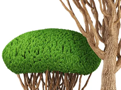 bonsai tree  3D model