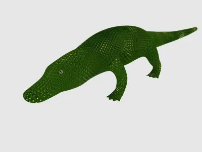Alligator Low-poly 3D model