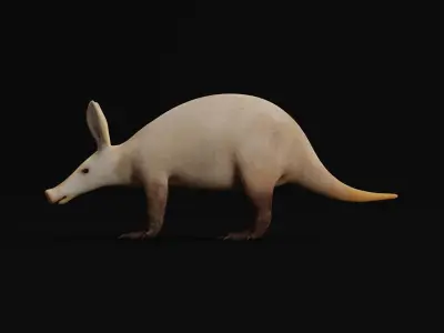 Aardvarks Low-poly 3D model