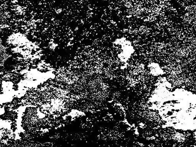 Spider Robot  3D model