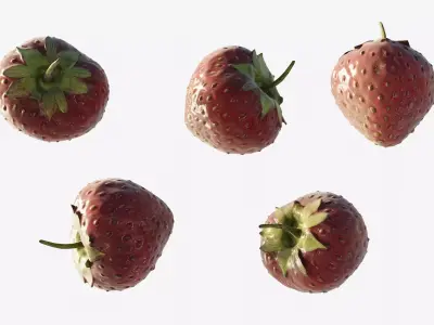 Scanned Strawberry Berry Low-poly 3D model buy