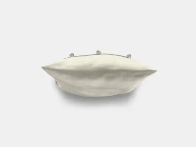 AINA Cushion cover 2 3D model