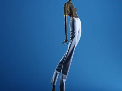 Zara Plumeti Embroided Top Manneqin 3D model