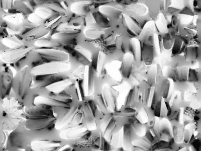 FLOWER SCAN Free 3D model