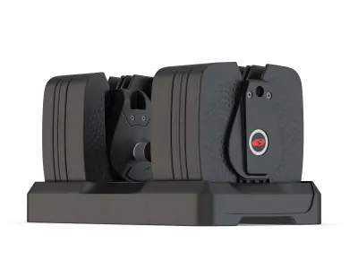 Bowflex SelectTech 560 Dumbbells 3D model