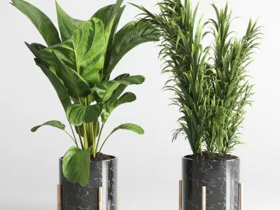 collection Indoor plant 34 -marble vase 3D model