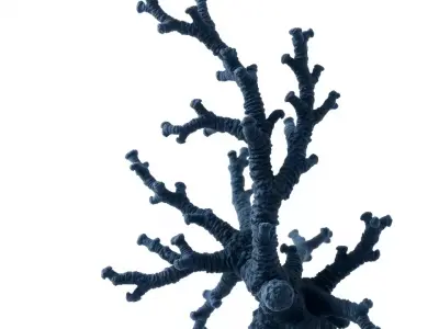 Blue Coral Sculpture model pack Low-poly 3D model