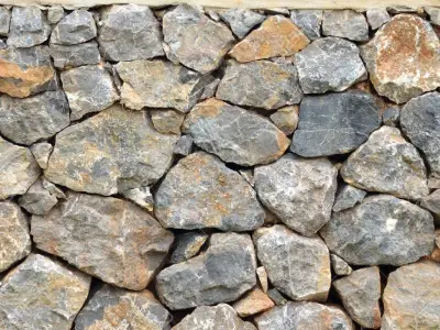 Environment Texture Free 3D model