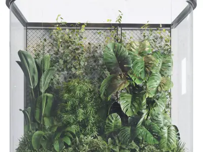 Plants Behind Galss 03 indoor garden Low-poly 3D model