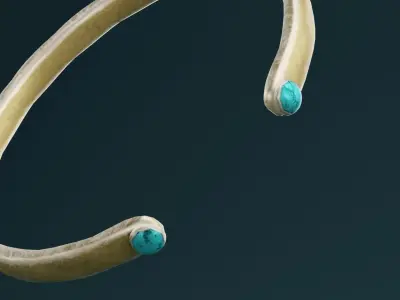 Golden Bangle  Low-poly 3D model