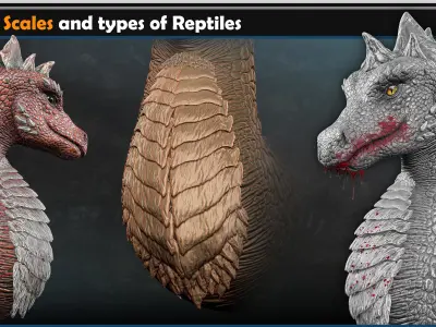 Dragon scales-types of reptiles Vol 01 3D model