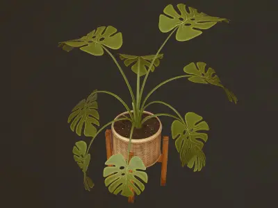 Monstera Plant - PBR Game Ready Low-poly 3D model
