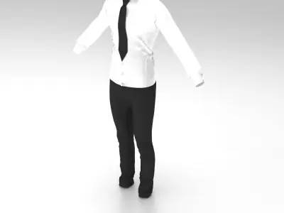 Full Outfit - shirt - pant - tie - 11 colors 3D model