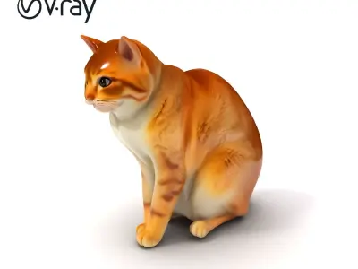 Realistic Cat D Model Pack Low-poly 3D model purchase