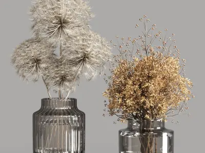 Collection Dry Plants Bouquet Indoor 02 3D model