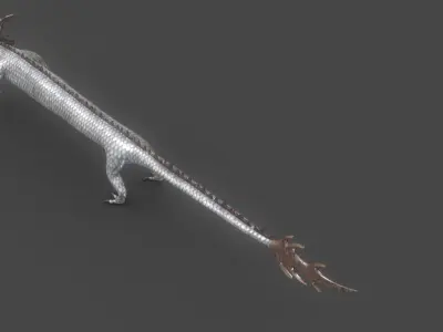 Dragon Chinese 3D model