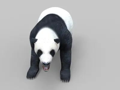 White Bear Rigged and animated 3D Model Low-poly 3D model