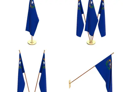 Nevada Flag Pack 3D model