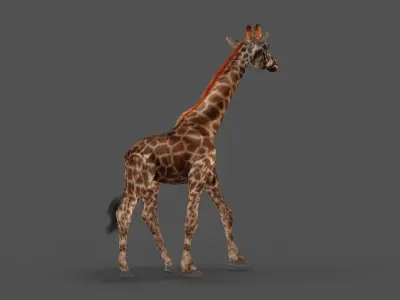 Fur Giraffe Rigged in Blender Low-poly 3D model