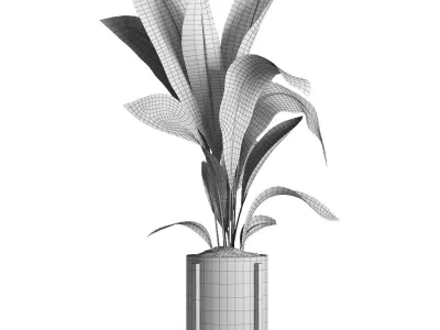 indoor plant 42 3D model