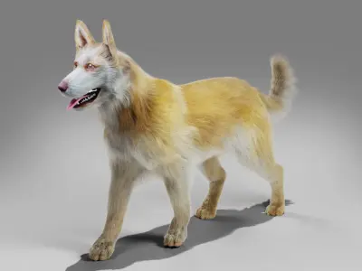 Fur Big Dog Yellow Rigged Low-poly 3D model