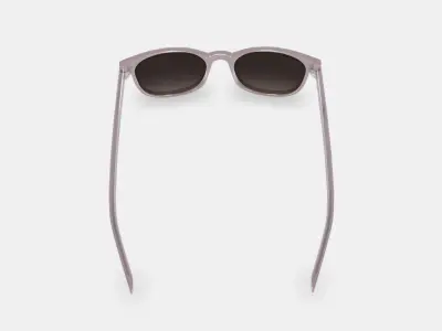 Durand Sunglasses in Rose Water 3D model