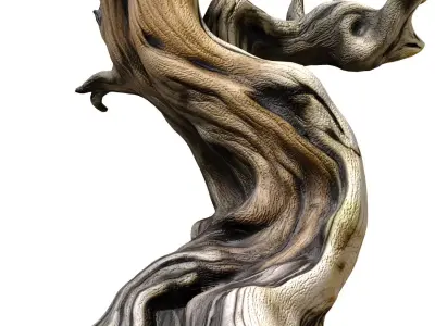 Ornamental Rustic weathered twisted Dry tree gnarled branches 3D model