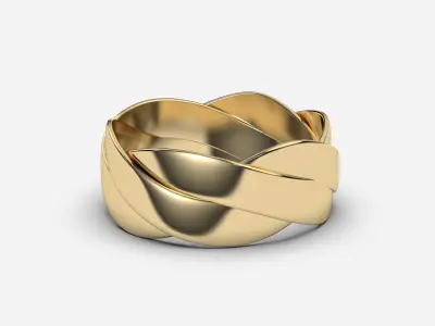 Twist Ring 3D print model